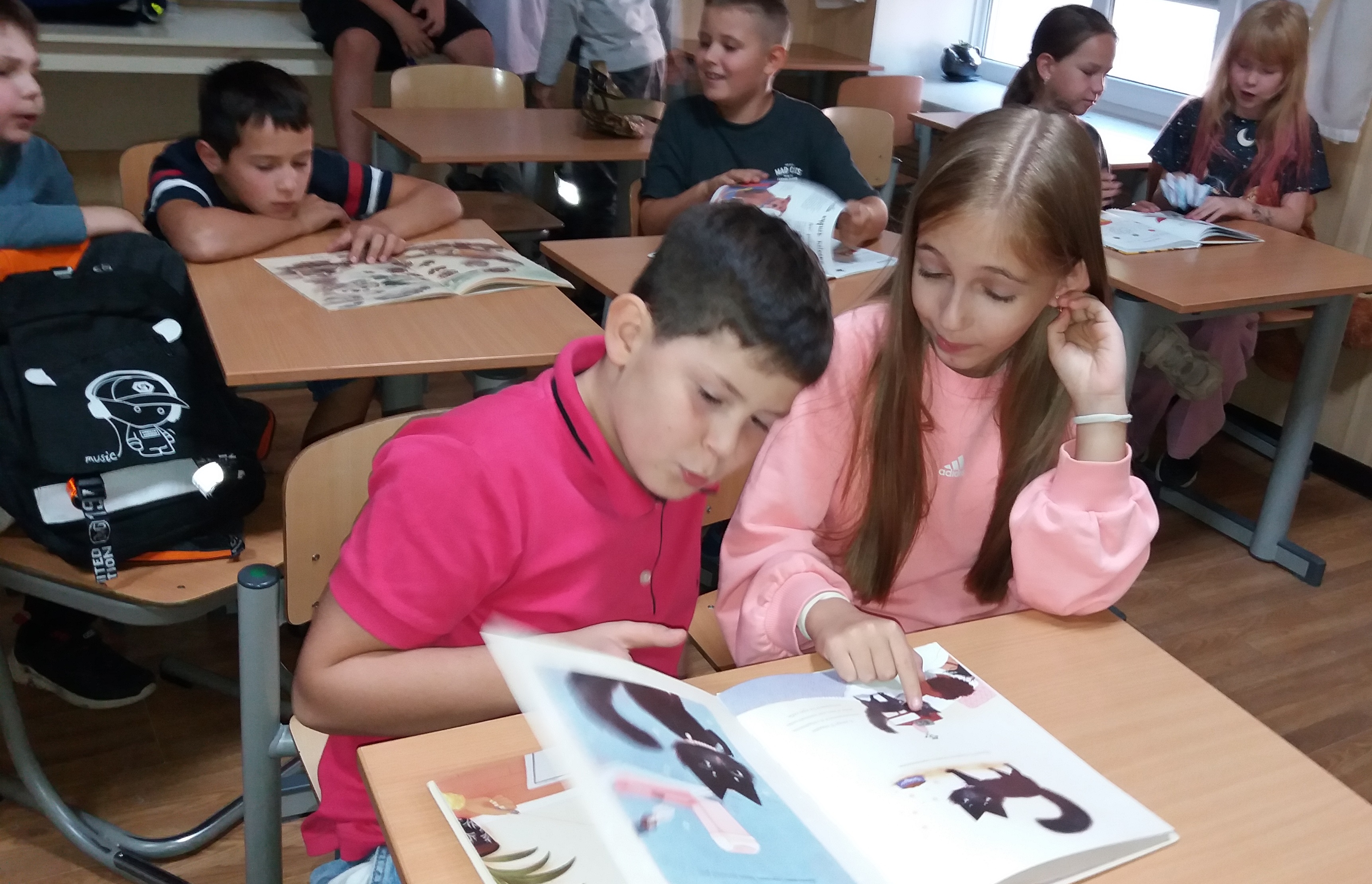 «Твої домашні улюбленці»