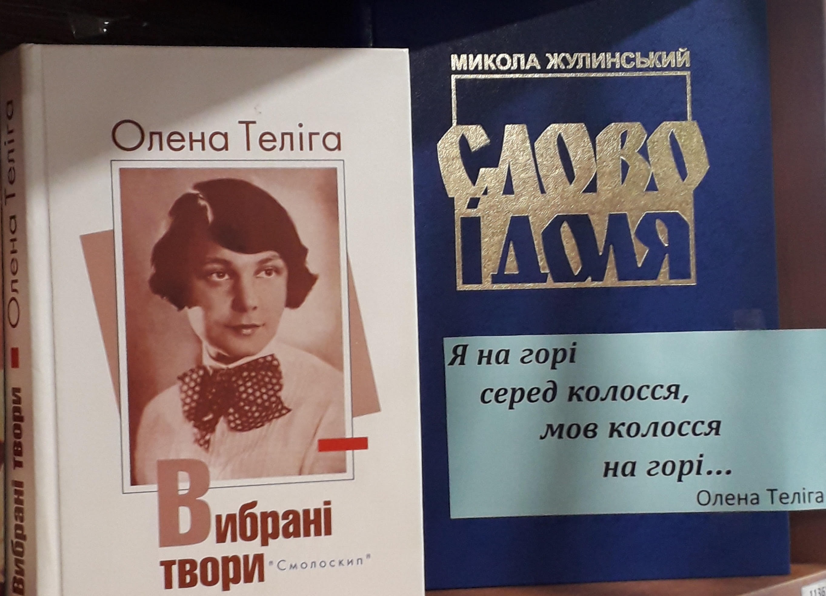 «Крила з полум’я та ніжності»